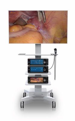 Laparoscopy Operation Medical 4k Endoscopy Camera with 10.2 Inch Touched Display