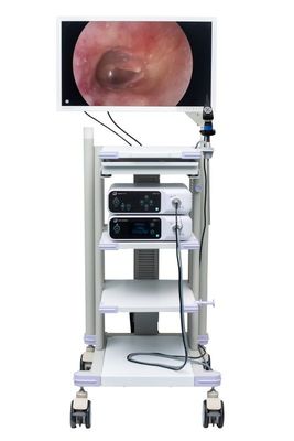 Surgical Display Screen For Endoscope Camera 27 Inch Medical Endoscopy Monitor