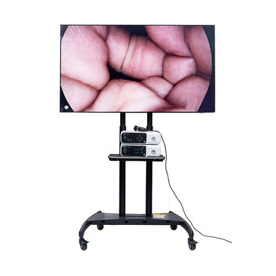 3840x2160p Ultra 4K Endoscope Camera Medical Monitor 55inch