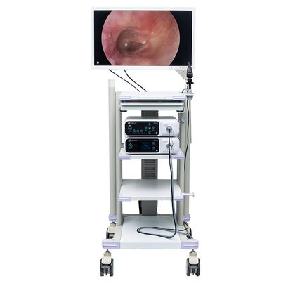 Endoscope Hysteroscopic Medical Trolley 664mmx638mmx1650mm
