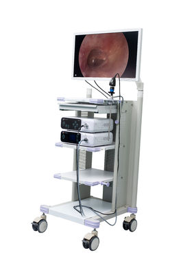Medical Full HD Endoscope Camera For Surgical ENT Laparoscopy Gynecology Hysteroscopy Arthroscopy
