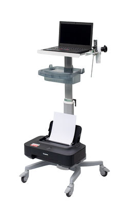 Wireless WiFi Medical Endoscope Camera System With Portable Light Source For ENT